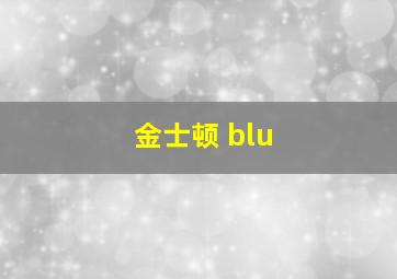 金士顿 blu